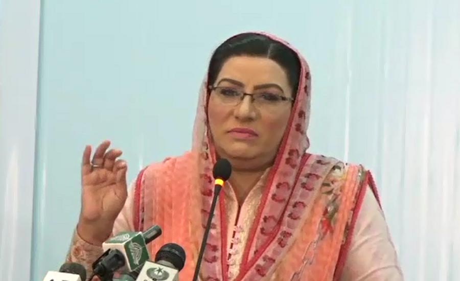 Army chief strengthened PM stance by talking about economic stability: Firdous