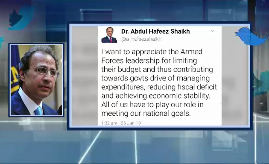 Hafeez Shaikh lauds armed forces for limiting their budget