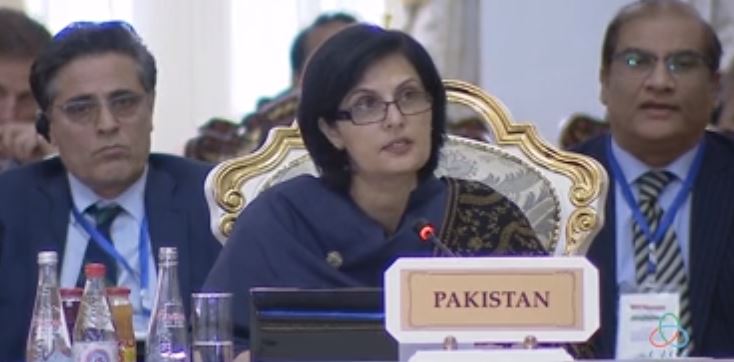 Pakistan calls for effective solutions in areas of peace, security