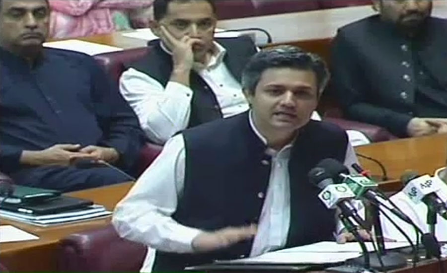 Economy put at stake for political stability, we won’t repeat it: Hammad Azhar