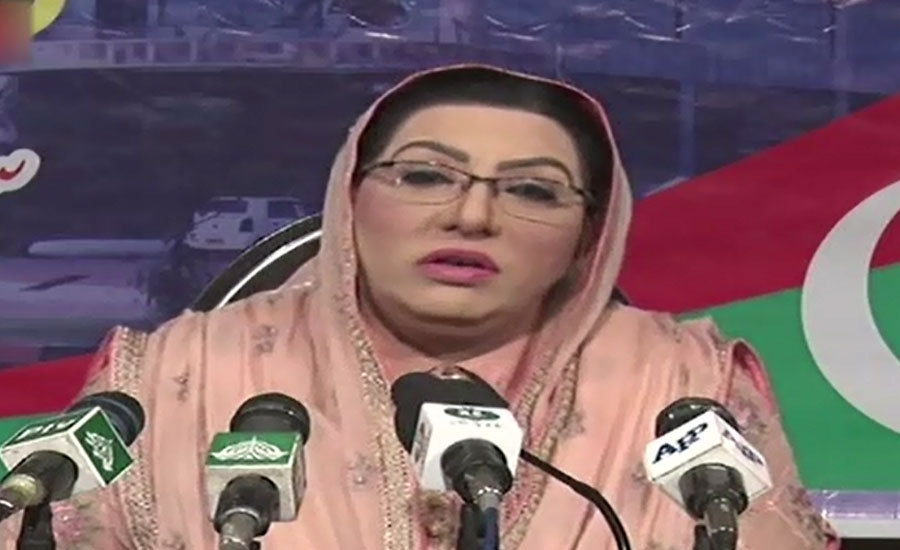 Peace wins after successful elections in tribal districts: Firdous