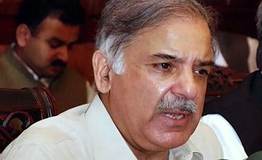 NAB summons Shehbaz in Waste Management Company scam today