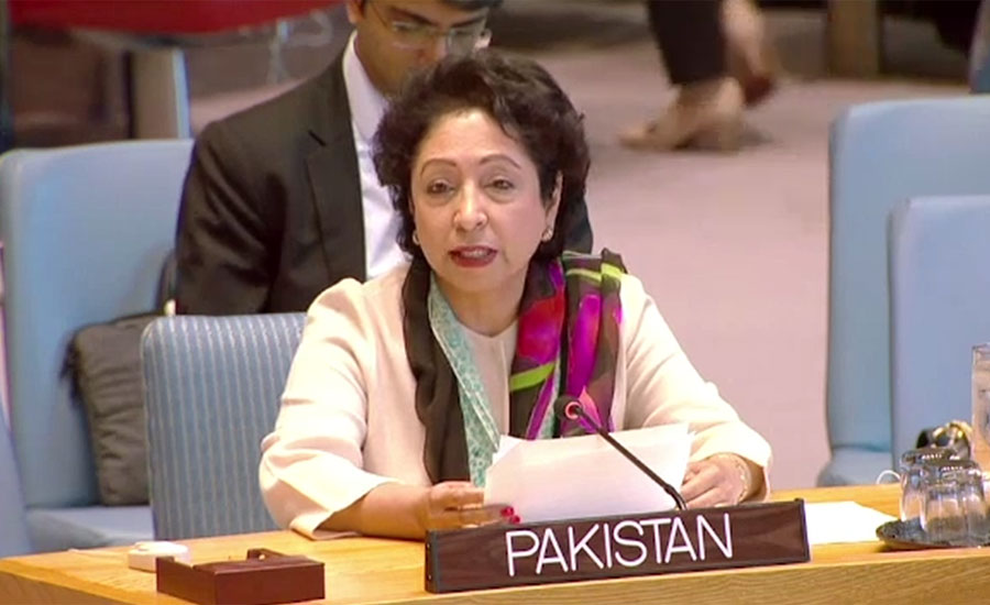 Maleeha Lodhi elected vice-president of UN ECOSOC