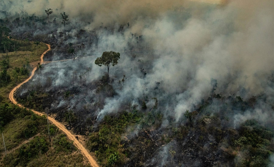 Thousand new fires in Brazil's Amazon as army mobilises to fight blazes