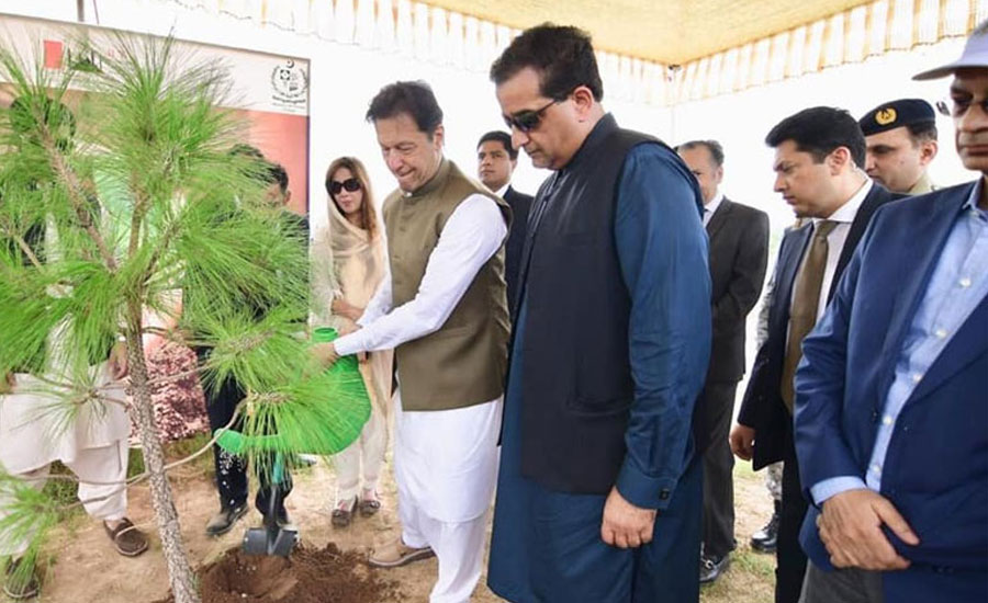 World acknowledges clean & green vision of Pakistan: PM