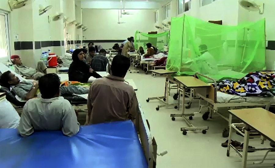 Over 770 dengue patients hospitalized in Rawalpindi