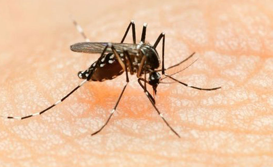 Dengue virus out of control across country