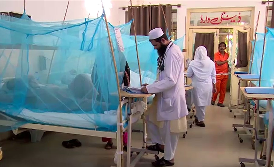 Two more dengue patients die in Islamabad