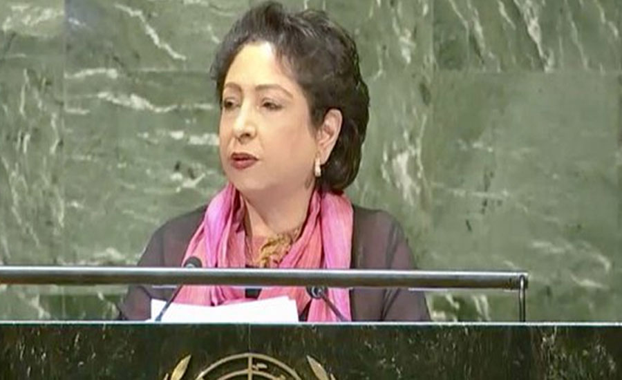 Pakistan asks UNSC to act by demanding India to lift curfew in IoK