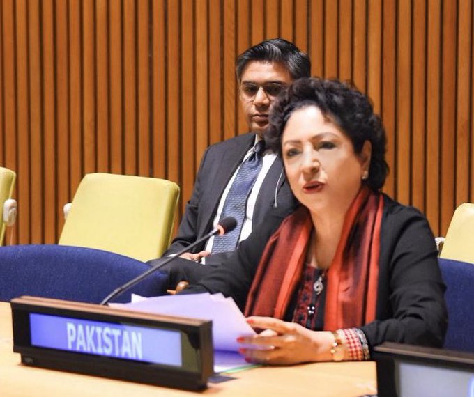 Pakistan committed to cooperating with world to counter terrorism: Maleeha Lodhi