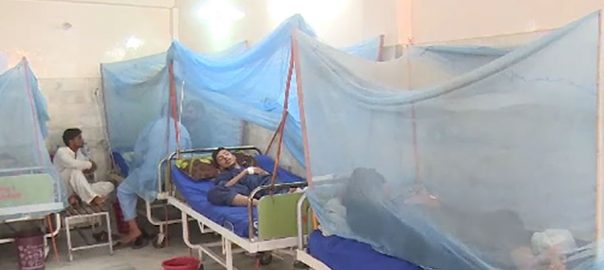 204 cases of dengue reported in Punjab during last 24 hours