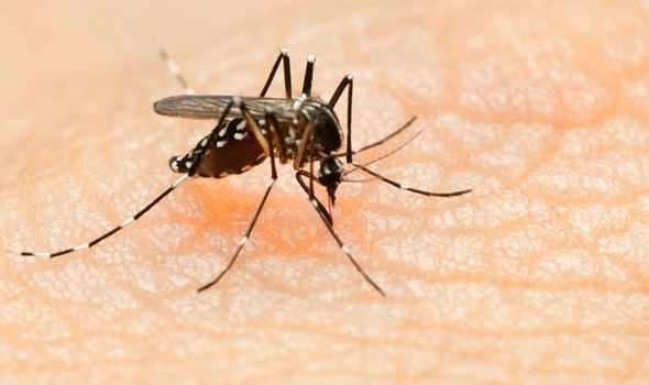 Three more people die of dengue as death toll rises to 63