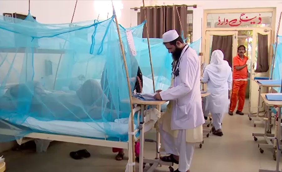 Four more dengue patients die across country