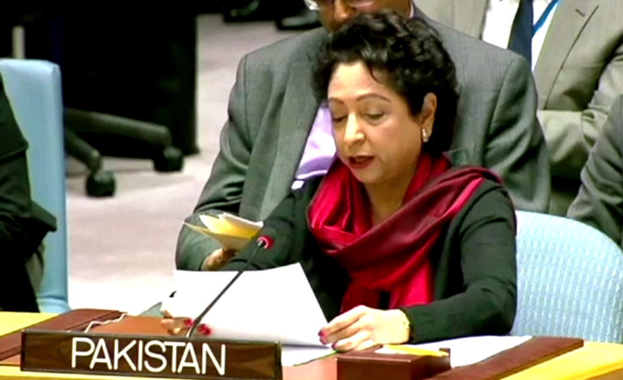 Women in IOK facing immense mental, physical torture: Maleeha