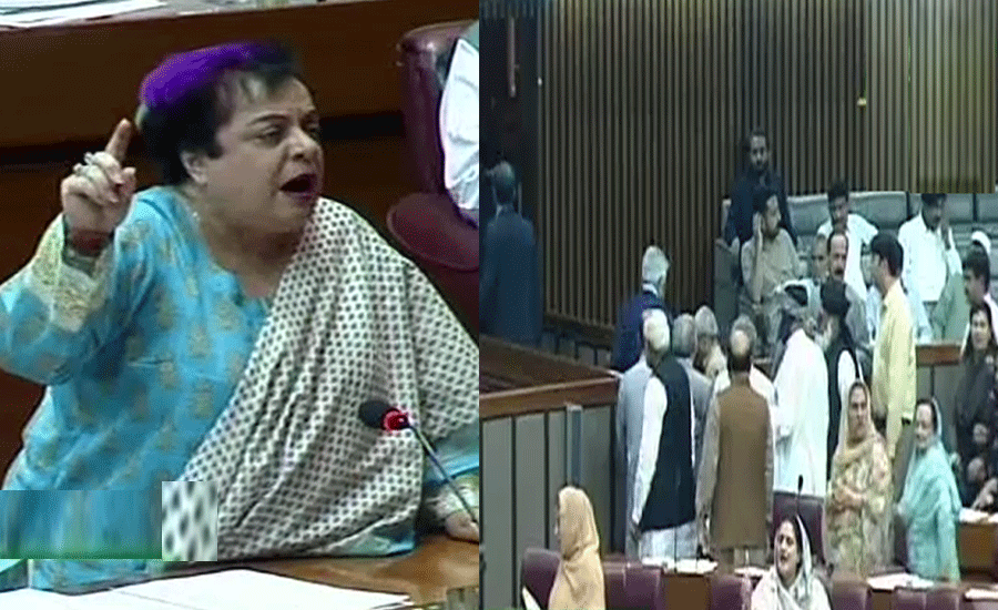 Opposition stages walkout against Mazari’s 'indecent remarks' about Naveed Qamar