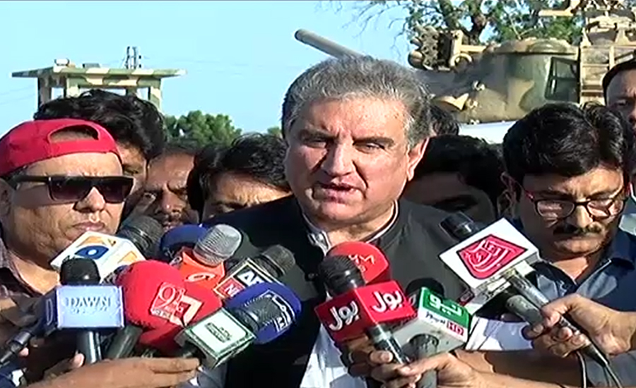 Maulana Fazl’s sit-in is not in interest of country: FM Qureshi