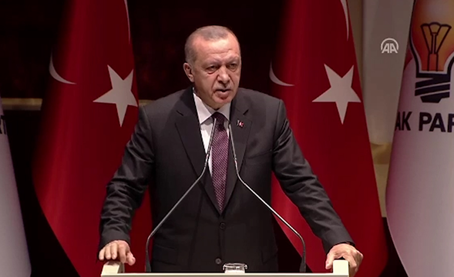 Turkey will never ceasefire in northern Syria: Erdogan