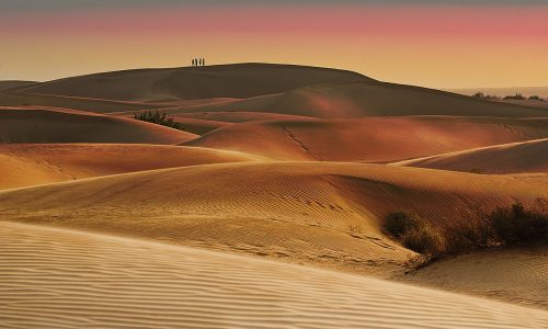 Land, Sunset over Thar Desert (Shutterstock)