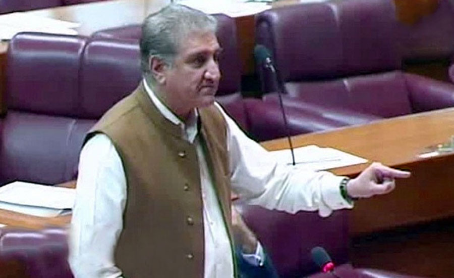 FM Qureshi calls on India to withdraw new citizenship law