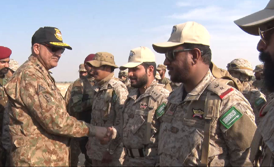 Pak Army ready to take on any defence, security challenge: COAS Qamar Bajwa