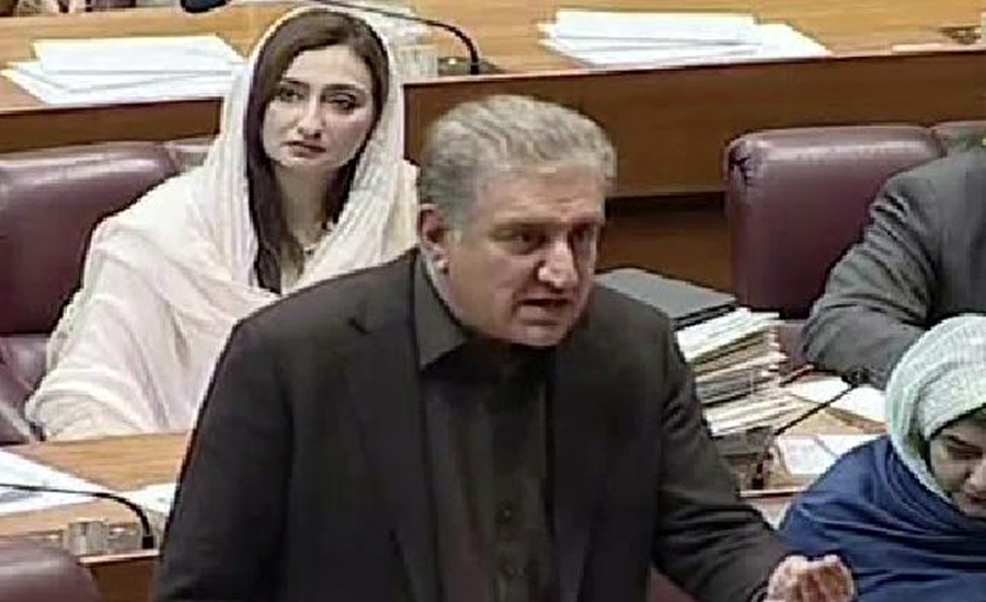 Shah Mahmood Qureshi terms opposition hypocrite, insolent