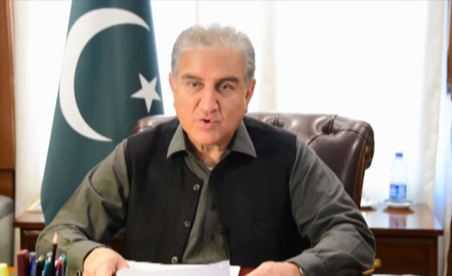 Certain foreign elements patronizing terrorism in Pakistan by using Afghan soil: FM