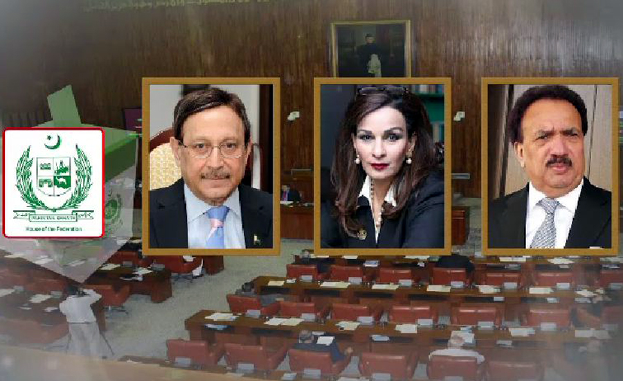Farooq H Naek & Sherry Rehman to re-contest Senate election, Rehman Malik out