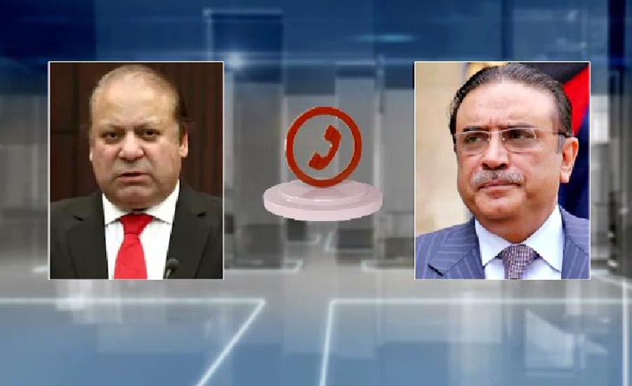 Asif Zardari, Nawaz Sharif discuss Senate election