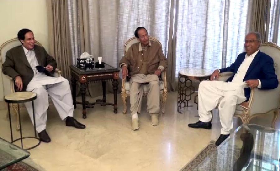 Chaudhry brothers announce full support for Abdul Hafeez Sheikh in Senate election