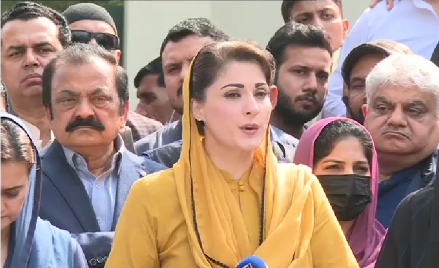 Once again proves that constitution is above than 'vote thieves’: Maryam