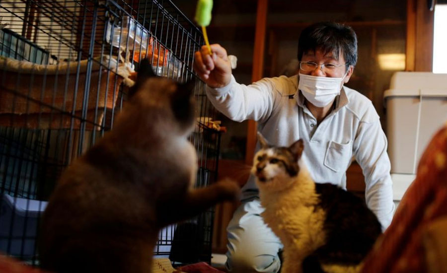The man who saves forgotten cats in Fukushima's nuclear zone