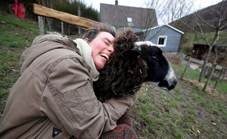 Feeling lonely in lockdown? Try hugging a sheep