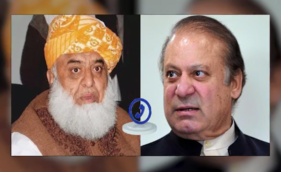 Maulana Fazalur Rehman, Nawaz Sharif discuss Maryam-Zardari tirade