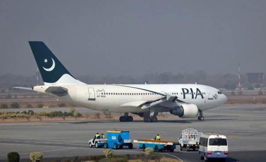 PIA plane lands safely after hitting bird
