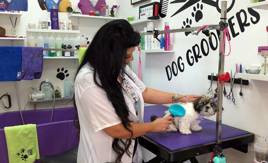 COVID forces switch from hairdresser to dog groomer