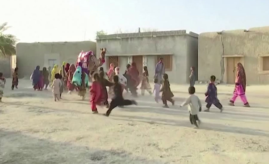 Roshan the camel brings books to homeschooling children in rural Pakistan