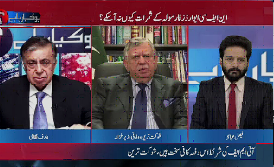 Economy is not growing speedily so shortcomings have to be rectified: Shaukat Tarin