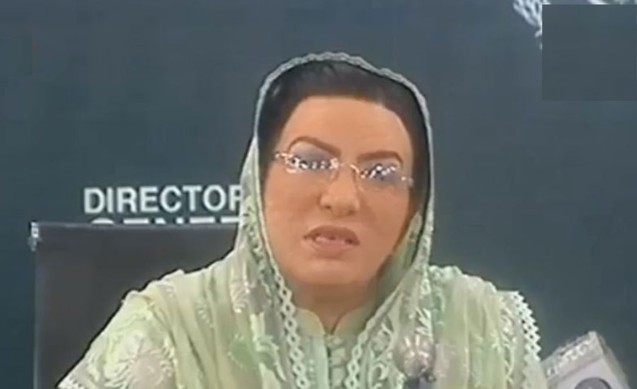 Plants of previous govt licking country like termites, says Firdous