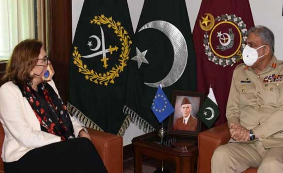 EU envoy lauds Pakistan's efforts for peace and stability in region