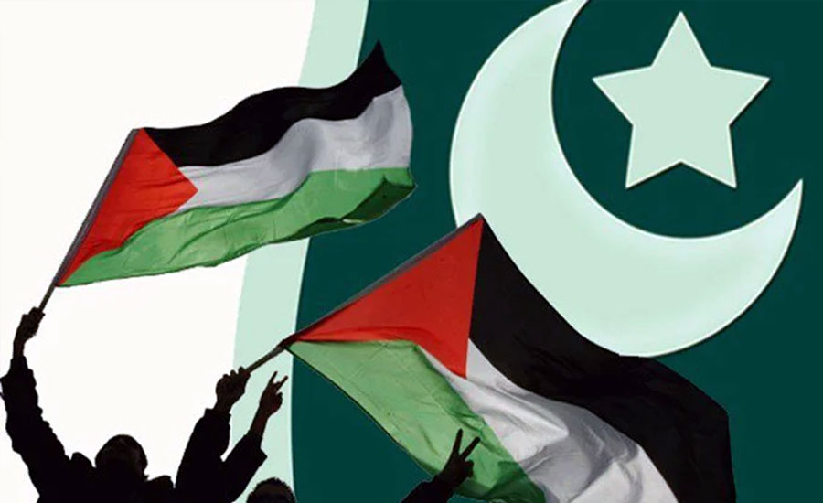Palestine Solidarity Day being observed across country