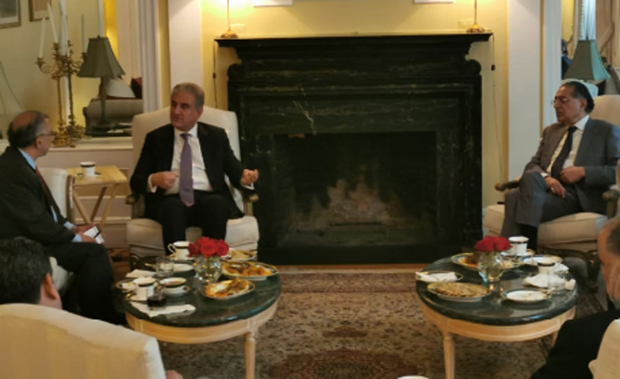 Pakistan to continue efforts for sustainable peace in Palestine, says FM Qureshi