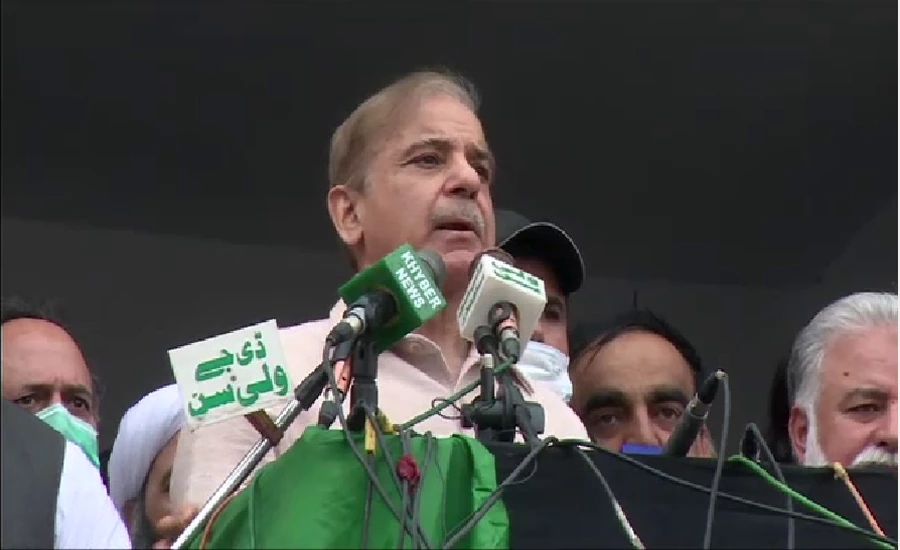 Shehbaz Sharif says no option except to force Imran Khan to flee