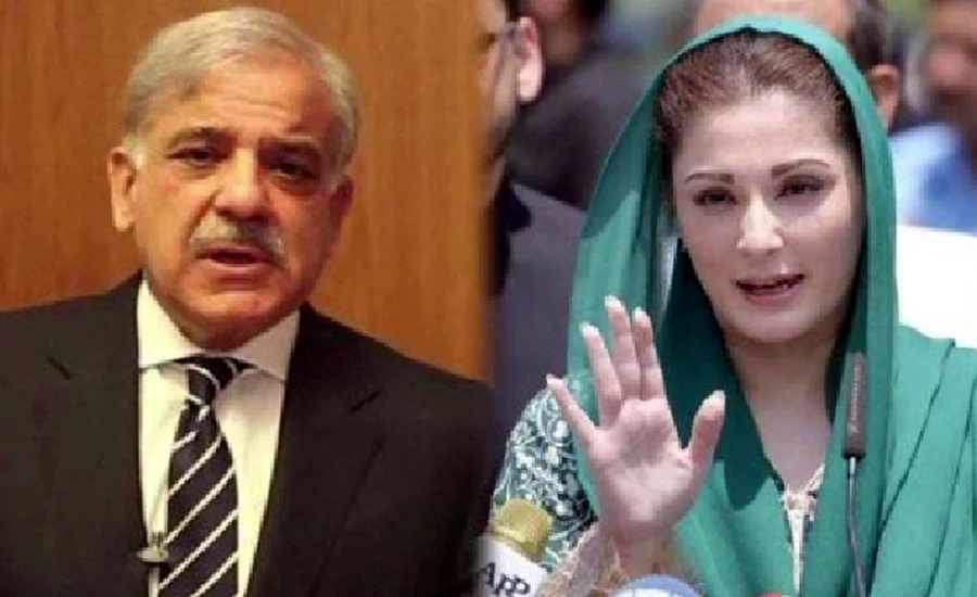 Shehbaz Sharif, Maryam Nawaz to launch election campaign in AJK from today