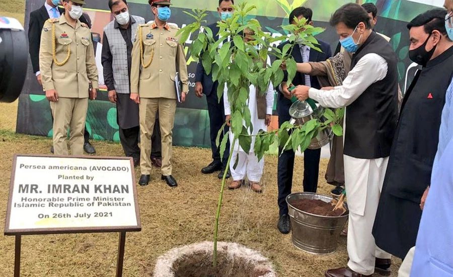 Govt's ten billion tree Tsunami project acknowledged across world: PM