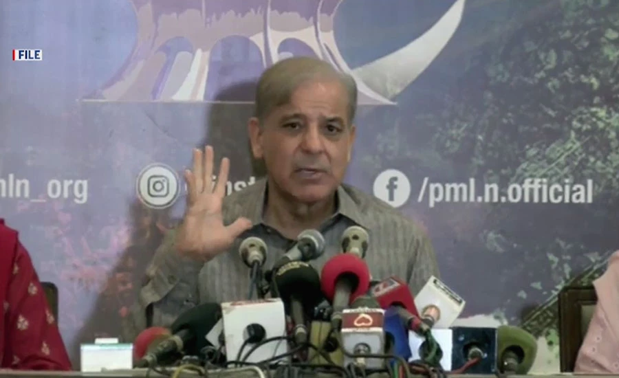 Govt statements based on political hatred are against dignity of Pakistan: Shehbaz Sharif