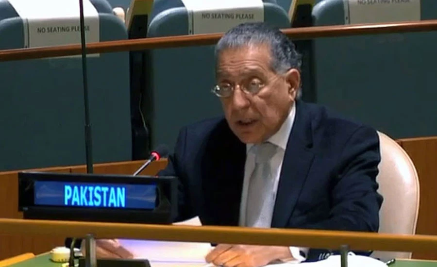 India sponsoring terrorism against Pakistan from Afghan territory: Munir Akram