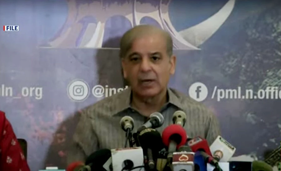 Karbala tragedy drew a clear line between truth and falsehood: Shehbaz Sharif