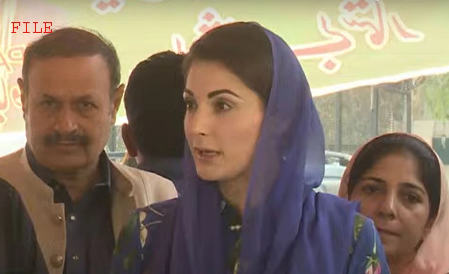 Today each institution is fighting war of its survival, says Maryam Nawaz