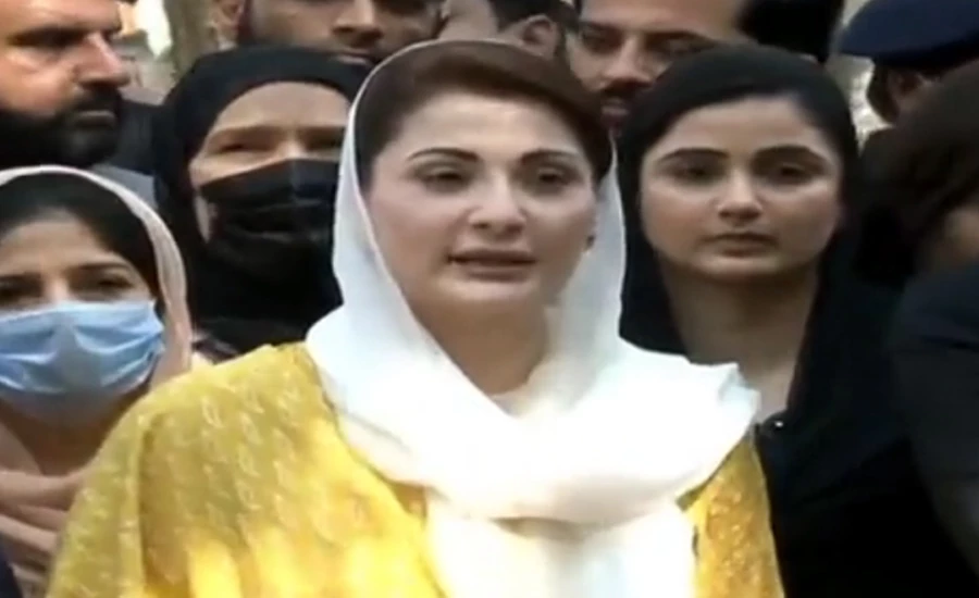 Govt that increased prices of flour, electricity and petrol is a certified thief: Maryam Nawaz