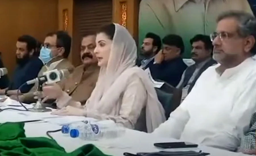 PPP can't fight because it is forced: Maryam Nawaz